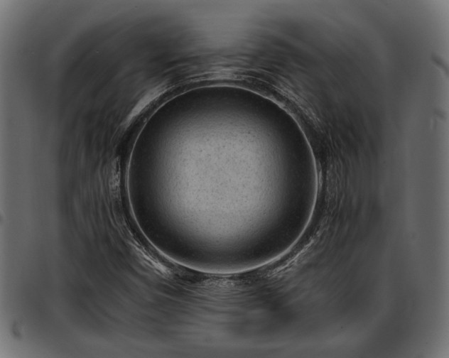 X0000096731450200802121303