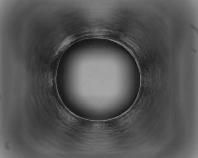 X0000096731451200802121303