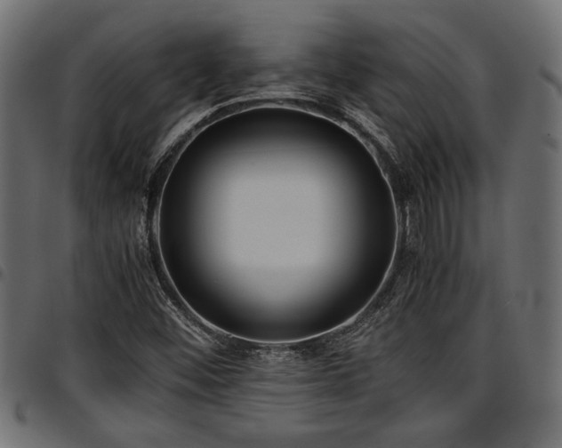 X0000096731452200802121303