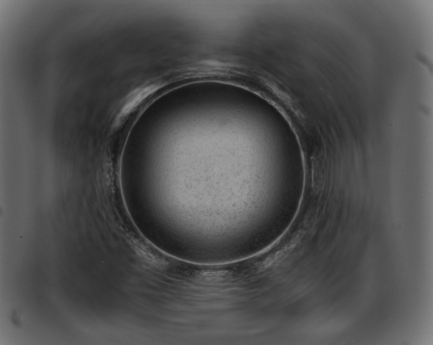 X0000096731453200802121303