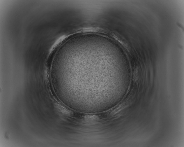 X0000096731454200802121303