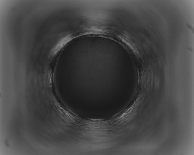 X0000096731455200802121303
