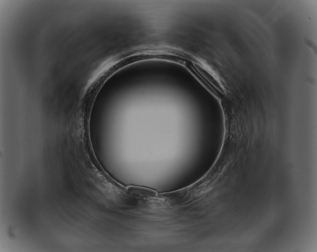 X0000096731456200802121303