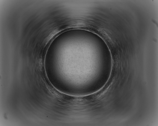 X0000096731457200802121303