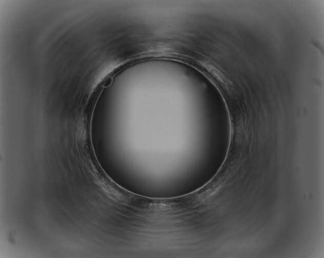 X0000096731458200802121303