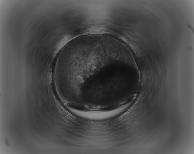X0000096731459200802121303
