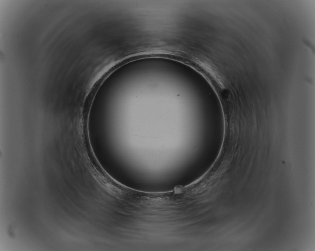 X0000096731460200802121303
