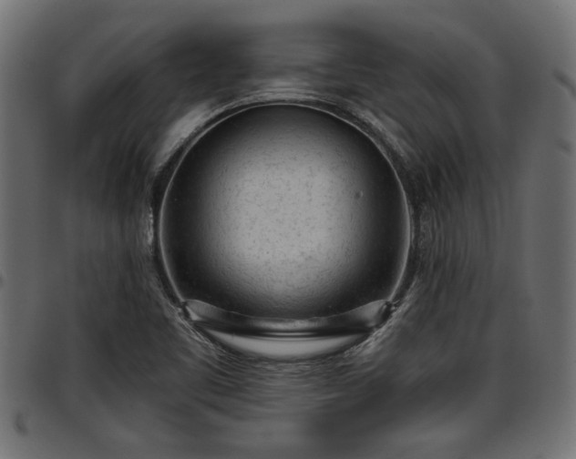 X0000096731461200802121303