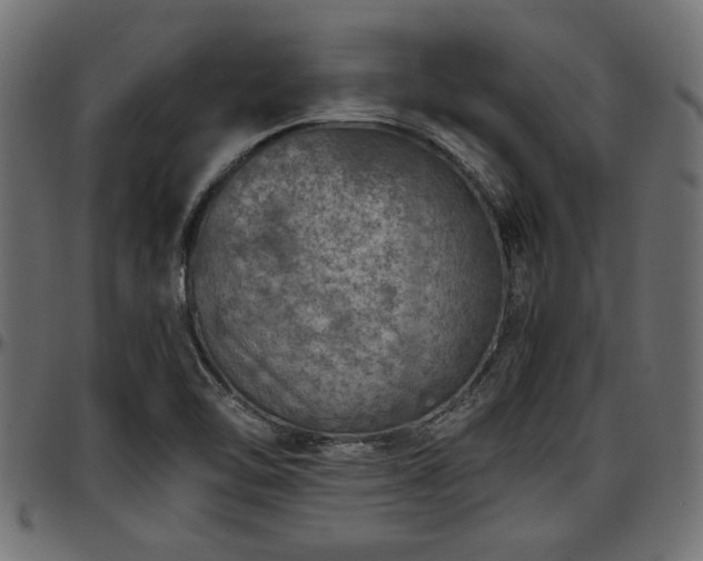X0000096731462200802121303