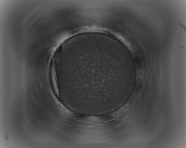 X0000096731463200802121303