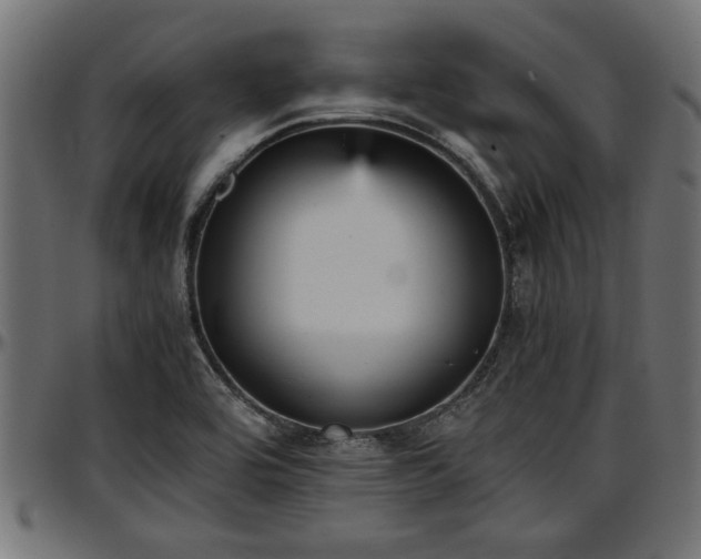 X0000096731464200802121303
