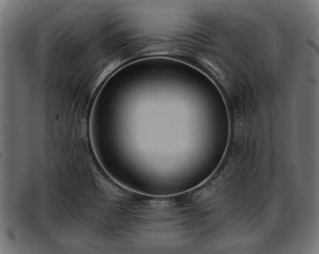 X0000096731465200802121303