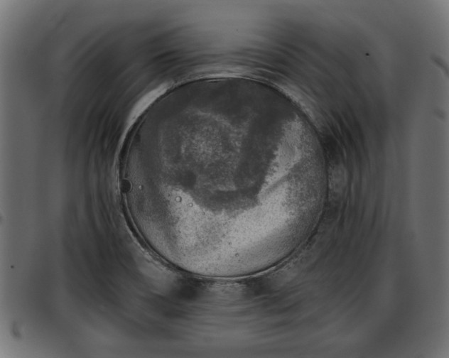 X0000096731466200802121303