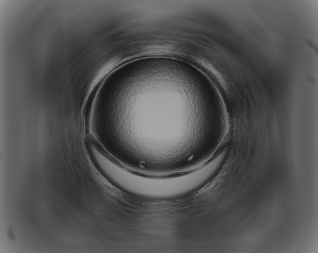 X0000096731467200802121303