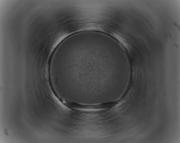 X0000096731468200802121303