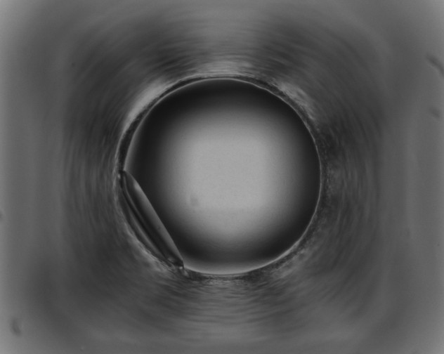 X0000096731469200802121303