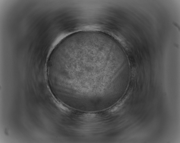 X0000096731470200802121303