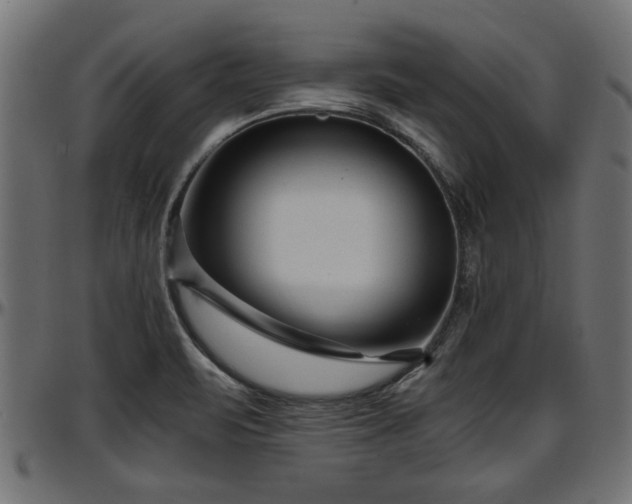 X0000096731471200802121303