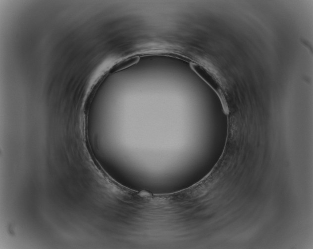 X0000096731472200802121303