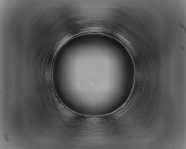 X0000096731473200802121303
