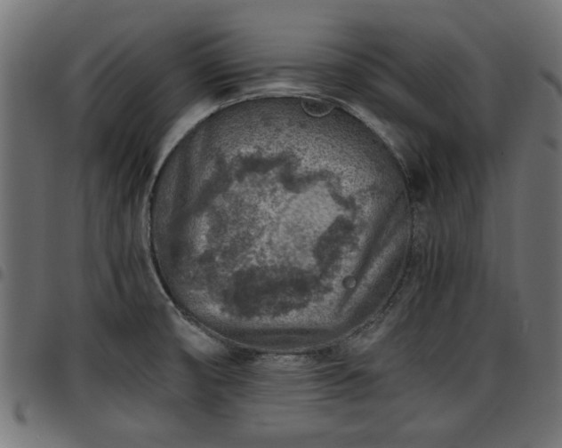 X0000096731474200802121303