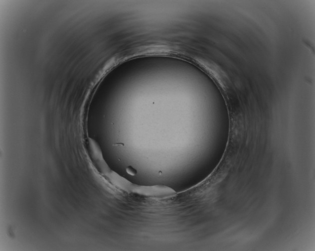 X0000096731475200802121303