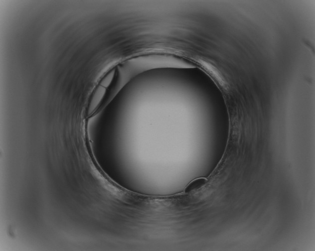 X0000096731476200802121303