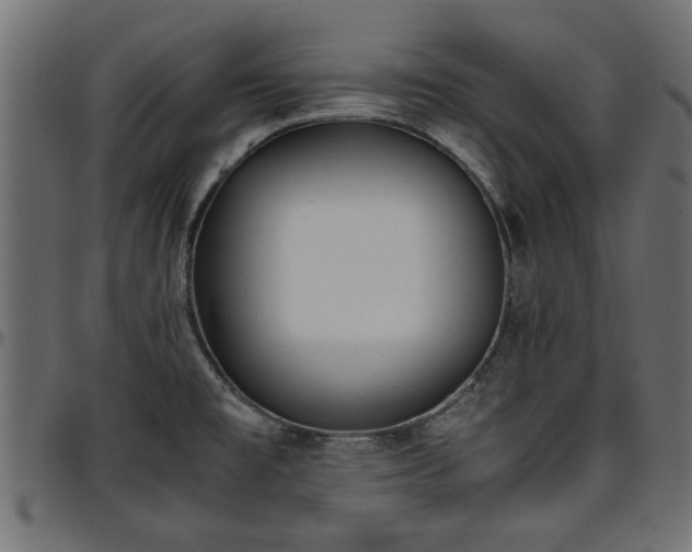 X0000096731477200802121303