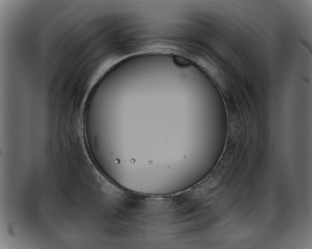X0000096731478200802121303