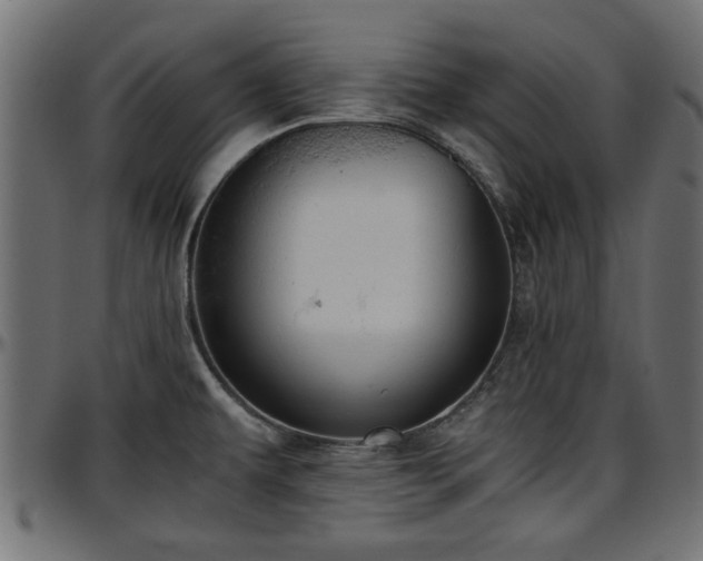 X0000096731479200802121303