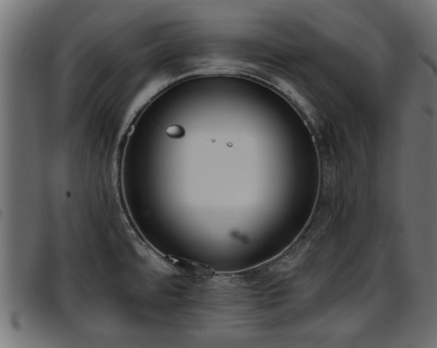 X0000096731480200802121303