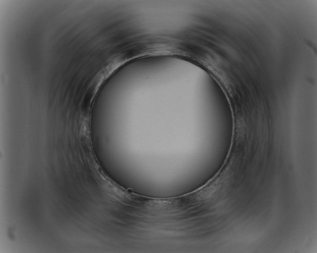X0000096731481200802121303