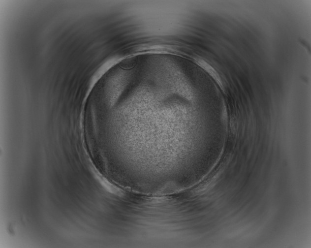 X0000096731482200802121303