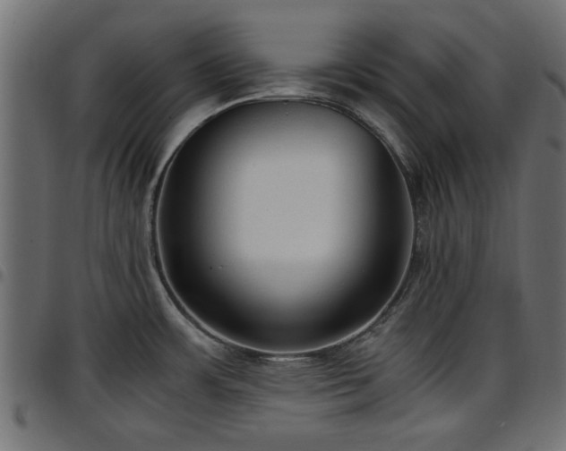 X0000096731483200802121303