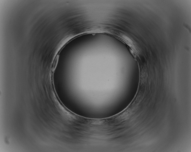 X0000096731484200802121303