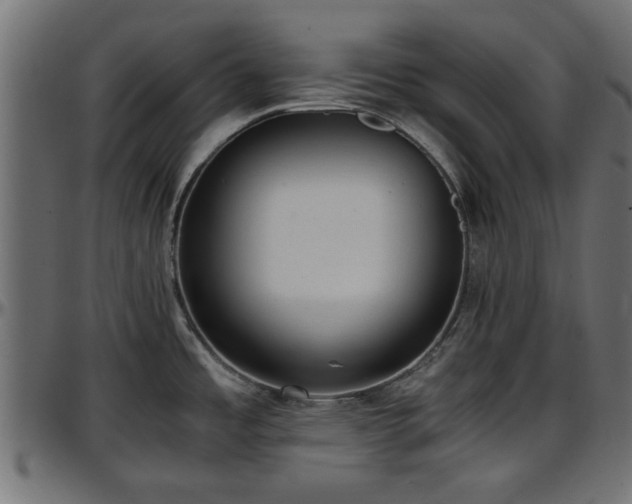 X0000096731485200802121303