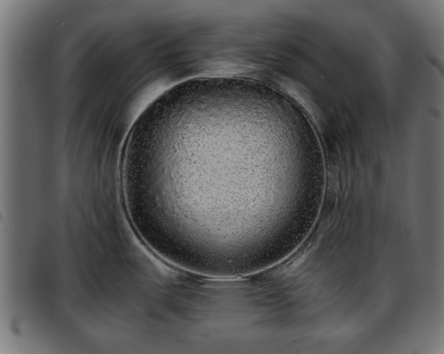 X0000096731487200802121303