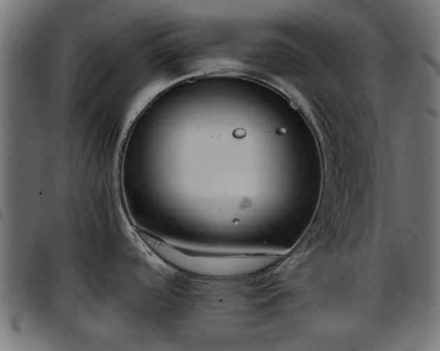 X0000096731488200802121302