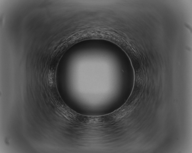 X0000096731490200802121302
