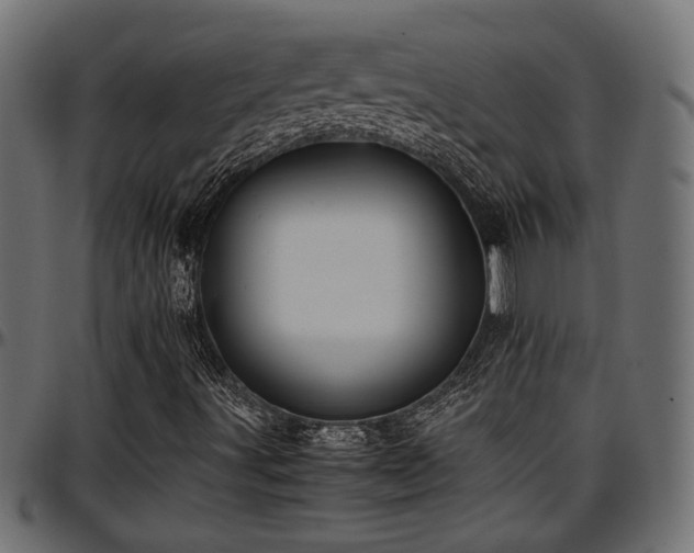 X0000096731491200802121302