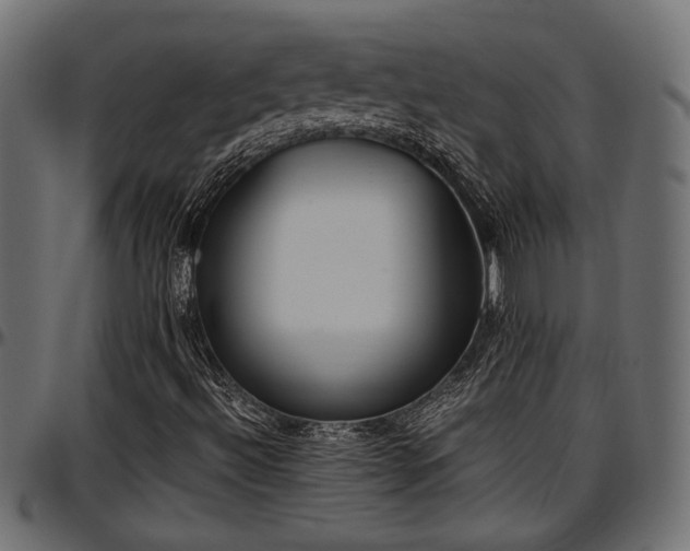 X0000096731492200802121302
