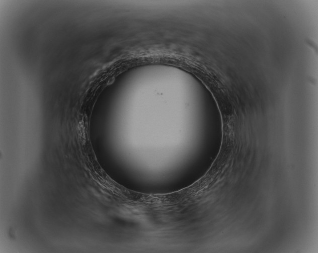 X0000096731493200802121302