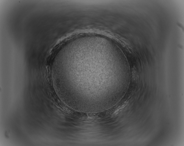 X0000096731494200802121302