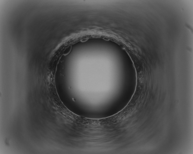 X0000096731495200802121302