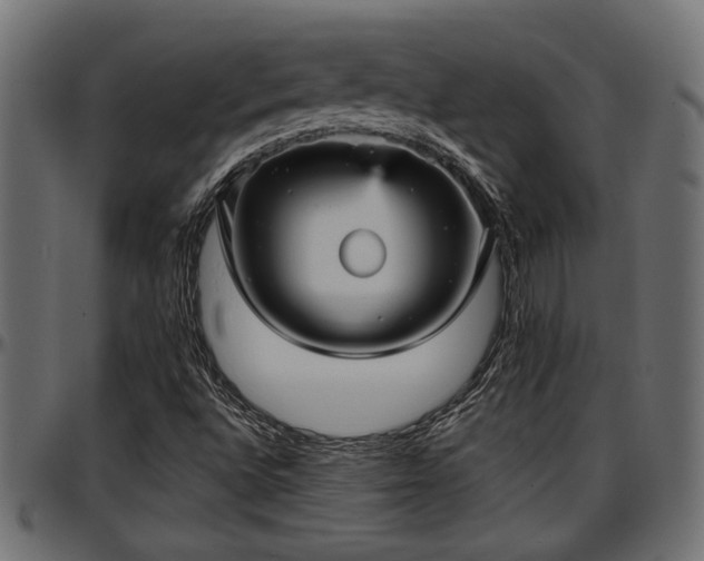 X0000096731496200802121302