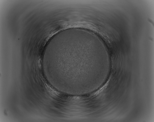 X0000096731497200802121302