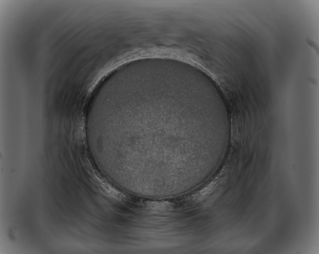 X0000096731498200802121302