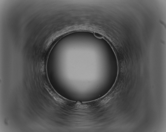 X0000096731499200802121302