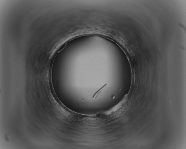 X0000096731500200802121302