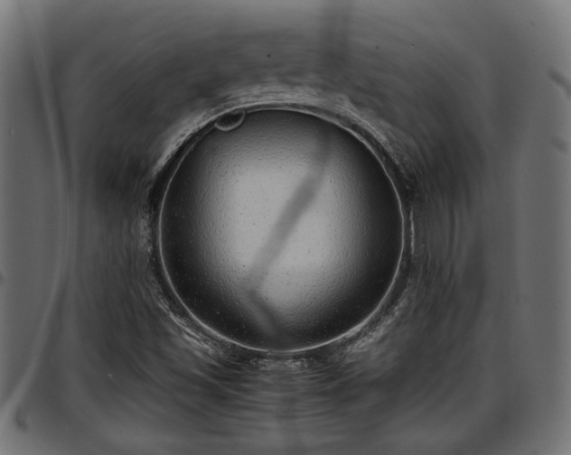 X0000096731501200802121302